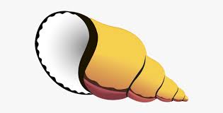 Cute Sea Shells Clipart Hermit Crab Shell Cartoon Hd Png Download Kindpng 300+ vectors, stock photos & psd files. cute sea shells clipart hermit crab