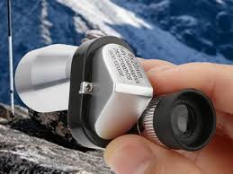 Image result for Monotes magnificus