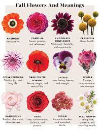 Tattoos have become diversified in terms of their design. Learn The Meanings Of Fall Flowers Fall Flowers Types Of Flowers Flower Meanings