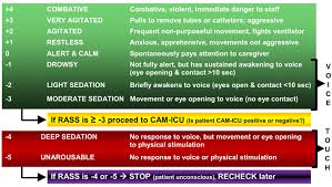 Image result for CAM-ICU