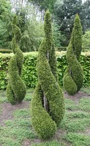 Thujahecken Haben Nicht Gerade Das Beste Image Sie Gelten Immer Noch Als Symbolpflanzen Kleinburgerlicher Spiessergarten D Garten Pflanzen Formschnitt Garten