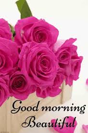 Best Good Morning Hd Images Wishes Pictures And Greetings Good Morning Flowers Good Morning Flowers Pictures Good Morning Beautiful Pictures