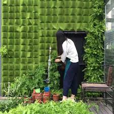 Beberapa jenis tanaman buah bisa ditanam secara vertikal (vertikultur), misalnya stroberi dan tomat buah. 8 Cara Antigagal Menanam Sayur Di Rumah Dengan Lahan Sempit