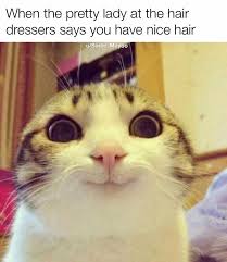Fun Times Memes