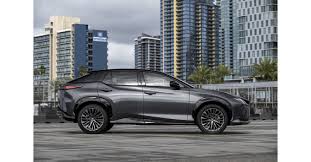 Image result for Caviar 2024 RZ