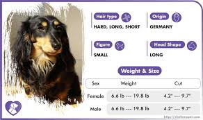 From free yorkie puppies to free german shepherd puppies, you can find the perfect addition to your home here at k9stud. T Rkuxpdv7rywm