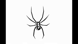 This drawing was for my club. How To Draw Giant Black Widow Spider Pencil Drawing Step By Step Youtube