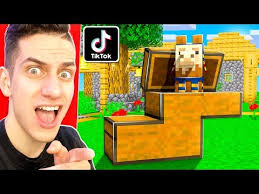 205 Testing 7 Viral Tiktok Minecraft Build Hacks To See If They Work Youtube Minecraft Funny Animal Pictures Hacks