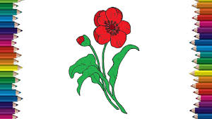 Signup for free weekly drawing tutorials How To Draw A Poppy Flower Step By Step