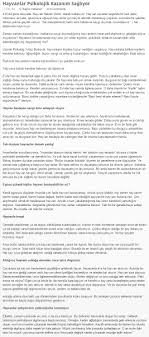 Kediler Insani Rahatiyor Ve Duygulariniza Karsilik Veriyor Sevgilerini Gosteriyorlar Ve Sevimliler Hayatin Anlami Nedir