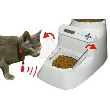 I fill up the food container (empty yogurt box) with food, close the door of the container, and plug the cable with an outlet timer to the 230vac network. Pin On Pet Love
