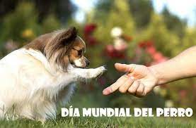 21 julio, 2019 21 julio, 2019sin categoría. Dia Mundial Del Perro 2019 Por Que Se Celebra El 21 De Julio Image Marketing