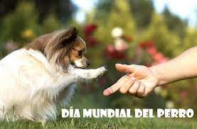 El último miércoles de abril de cada año celebramos el día internacional del perro guía, para conmemorar su importante papel que desempeñan para ayudar a las personas invidentes o con discapacidad visual que dependen de ellos a diario. Dia Mundial Del Perro 2019 Por Que Se Celebra El 21 De Julio Image Marketing