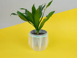 engineers invent origami inspired self watering pots that