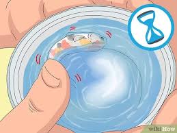 Divano letto singolo o m. 3 Ways To Tell If Your Fish Is Dead Wikihow