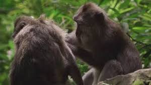 #fordeepsleep | 8gqfi746jou / aura connection this rakshabandhan celebrate the facebook. Sorrow Is Tranquillity Remembered In Emotion Tommivlog Relax Music For Deep Sleep Youtube