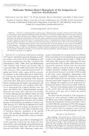 Image result for Satyrium crassicaule