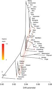 Asli natural collection ⭐ , turkey, i̇stanbul, şişli, silahşör cad., 57: Treemix Tree Of Orang Asli Subgroups Negrito Groups Of Andaman Download Scientific Diagram