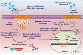 Image result for Integrase Strand Transfer Inhibitor