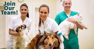 All care animal hospital is a full service animal hospital which includes 24 hour emergency care, as well as preventative care, surgical, and dental issues. Veterinarian In Newhall Ca All Creatures Veterinary Center