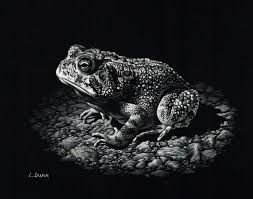 Animals Scratchboard Org Scratchboard Art Scratchboard Art