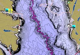 lake livingston humminbird chartselect