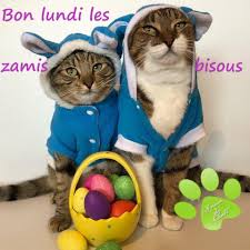 BONJOUR BONJOUR LES ZAMIS BON LUNDI BON DEBUT DE SEMAINE GROS BISOUS ♥ MH