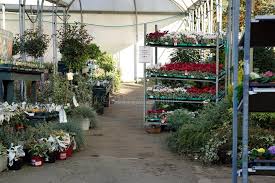 A single tool to search through millions of photos from all over the internet. 20 747 Commercial Garden Photos Free Royalty Free Stock Photos From Dreamstime