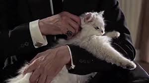 Animated gif images of fire and flame. All James Bond Cat Close Ups In Chronological Order Youtube