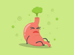 Image result for Flatulence