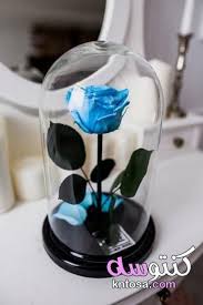 تزيين البيت بالورد الصناعي تزيين المنزل باشياء بسيطة تزيين البيت بالورد الطبيعي ديكور ورد طبيعي Home Decor Snow Globes Decor