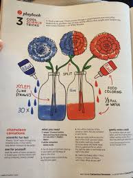 Pin On Fun With A Fiesty Eight Year Old