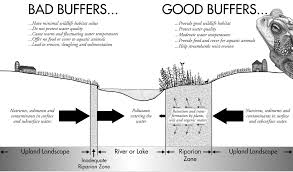 Check spelling or type a new query. Http Www Gulfofmaine Org Council Publications Scienceinsights Riparianbuffers Pdf