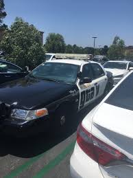 This Guy Where I Work Pulled Up In A Gta 5 Cop Car Even Had The Los Santos Seal On The Other Side Grandtheftautov Gtav Gta5 Gran Gta Gta 5 Grand Theft Auto