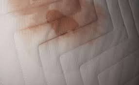 Wie bekomme ich blutflecken aus der matratze. Eingetrockneten Blutfleck Auf Matratze Wegbekommen Wie Periode Verzweiflung Fail