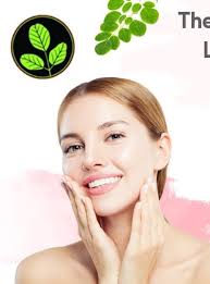 Amazon.com: Té energético de moringa: hojas sueltas de 3 onzas. Natural,  cosechado a mano y recién envasado con hojas de moringa 100% puras. :  Comida Gourmet y Alimentos