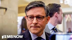 Beyond The Ballot: Amanda Ellis-Thurber, Windham-7, 2024