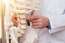 Cbd has been proved to be useful in curing many elderly health issues like osteoporosis. Top 10 Best Cbd Oils For Bone Health Best Choice Reviews