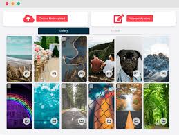 When making a collage, contemplate how it can engage the audience. Storrito The Story Tool