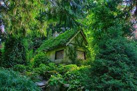 Top 10 Most Peaceful Cottages House In The Woods Fairytale House Fairytale Cottage
