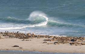 Wave At San Nicolas Island Sandspit Book Of Life San Nicolas Island