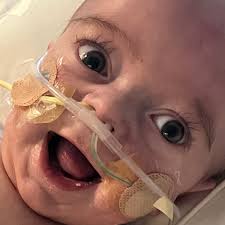 Wesley Patterson Obituary (2022