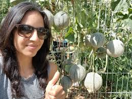 This is a staple at our house. Chicken pot pie and I don't care!!