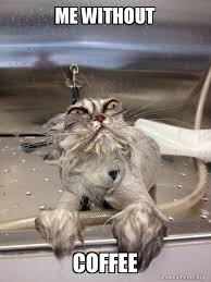 We did not find results for: Me Without Coffee Cat Bath Returns Make A Meme