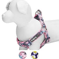 Blueberry Pet Soft Comfy Welcoming Rose Flower Prints