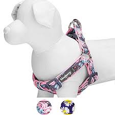 blueberry pet soft comfy welcoming rose flower prints