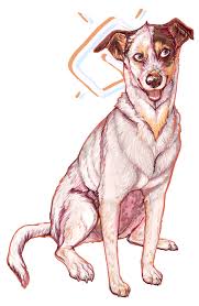 Near Morning By Engross Deviantart Com On Deviantart Dog Sketch Dog Drawing Dog Art