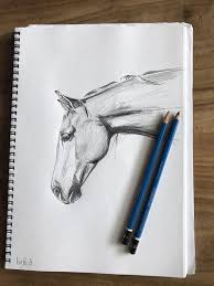 Hand Drawn Horse Portrait Drawing Print Black And White Pencil Sketch Horse Lover Art Unique Gift For Her Scandi Or Country Home Decor Horse Art Drawing Art Inspiration Drawing Horse Drawings