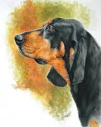Black And Tan Coonhound For Sale In Sc Barbara Keith Black And Tan Coonhound Coonhound Dog Canvas Dog Art