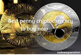 So, if bitcoin can explode like this, theoretically, it is the most vulnerable to fall too, which is why it is good to look at alternatives that have lower risks attached to. Best Penny Cryptocurrency To Buy Now Cheap Altcoins With Huge Potential